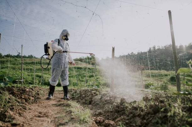 Best Mosquito Control Services  in Independence, LA