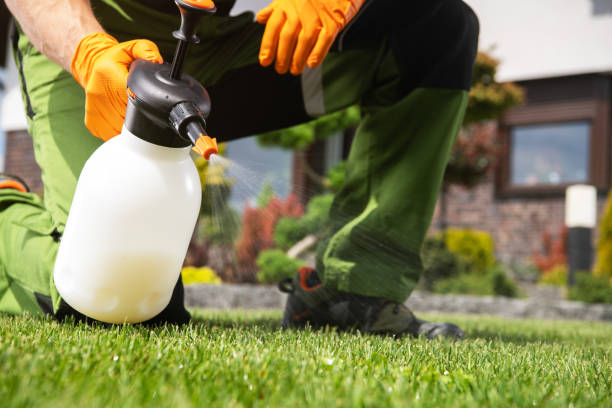 Best Commercial Pest Control Services  in Independence, LA