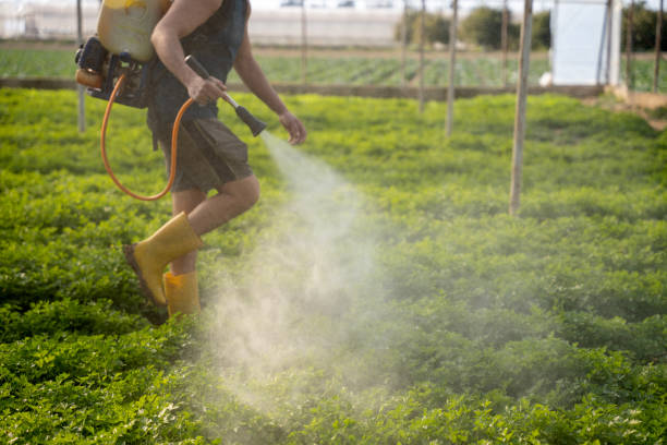 Trusted Independence, LA Pest Control Experts