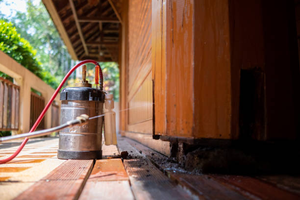 Best Termite Control Services  in Independence, LA