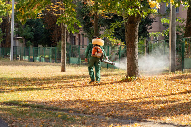 Insect Control in Independence, LA