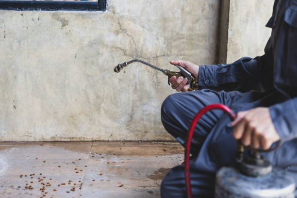 Best Pest Removal Services  in Independence, LA